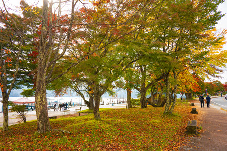 Tourists visit Nikko,japan in Autumnの写真素材