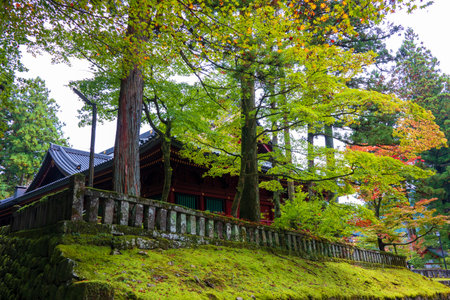 walking around the Temple in Nikko, Japan
