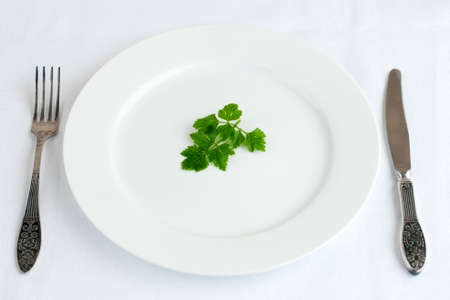 Parsley leaf on the plate with fork and knife on tableclothの写真素材