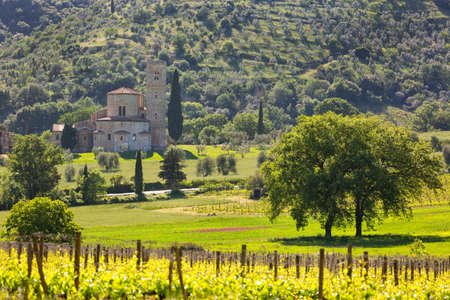Abbey of Sant'Antimo with vineyards, Montalcino, Tuscany, Italyの写真素材