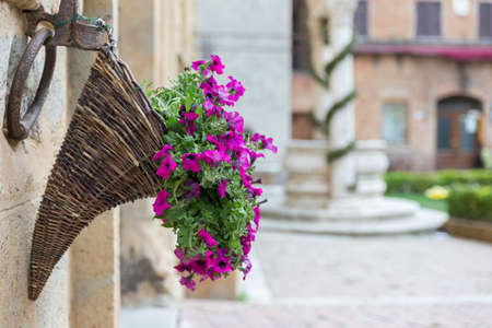 Flowers at Marketplace in Pienza, Tuscanyの写真素材