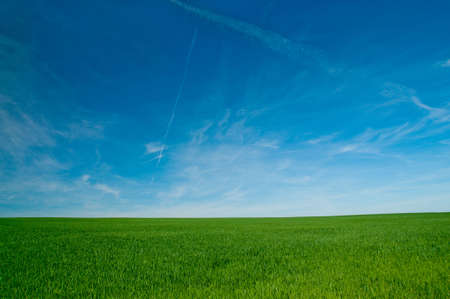 Landscape with green wheat and blue sky with clouds and contrailsの写真素材