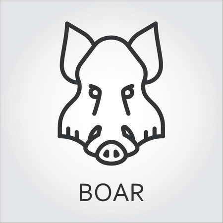 Black flat simple icon style line art. Outline symbol with stylized image of a head of a wild animal boar, aper. Stroke vector logo mono linear pictogram web graphics. On a gray background.のイラスト素材
