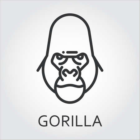 Black flat simple icon style line art. Outline symbol with stylized image of a head of a wild animal ape, gorilla. Stroke vector logo mono linear pictogram web graphics. On a gray background.のイラスト素材