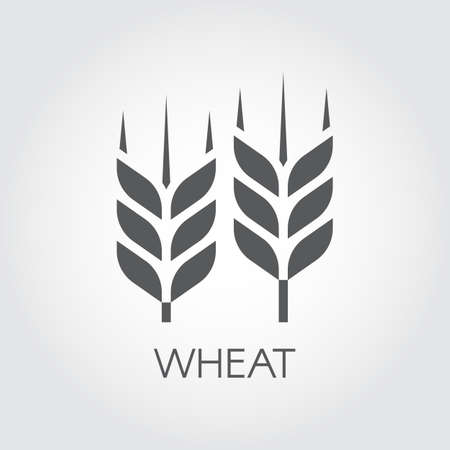 Ear of wheat black flat icon.のイラスト素材