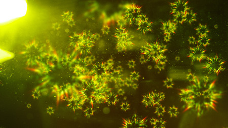 Abstract colorful defocused cells. Abstract microscopic forms on a dark background. Scientific...