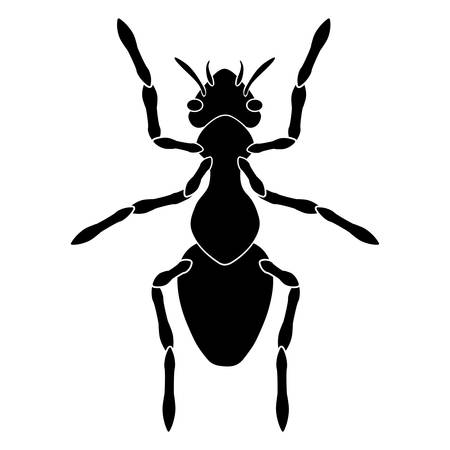 Black-and-white silhouette of an ordinary worker ant. Torso, abdomen, paws, head, eyes and antennae are visible.のイラスト素材