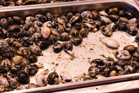 Fish at the very famous fish market in Catania, Sicilyの写真素材