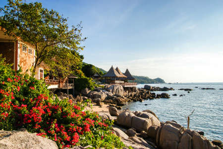 Rocky shore of Sairee beach Koh Tao. Thailand. Large and small boulders are scattered along the shore. Bush with flowers in the foregroundの写真素材