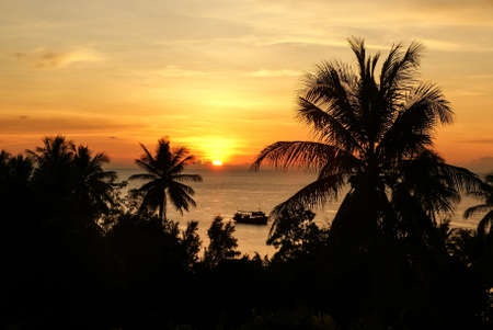 Silhouettes of palm trees and ship on the background of orange sunset on the seaの写真素材
