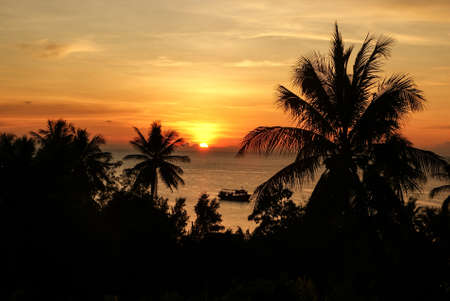 Silhouettes of palm trees and ship on the background of orange sunset on the seaの写真素材