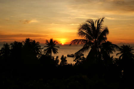 Silhouettes of palm trees and ship on the background of orange sunset on the seaの写真素材