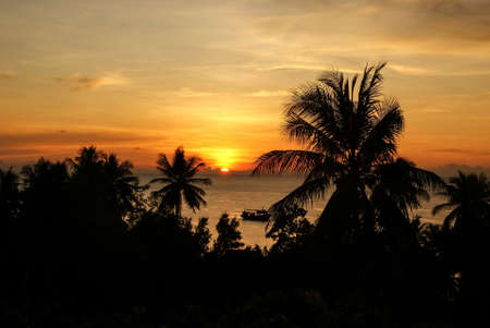 Silhouettes of palm trees and ship on the background of orange sunset on the seaの写真素材