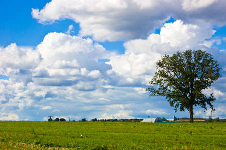 Landscape rural with a tree, a green meadow and the sky with cloudsの写真素材