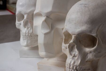 three plaster skulls on a white background. artist's studioの写真素材