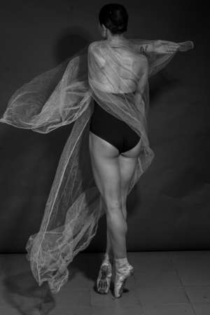 black and white dramatic vintage portrait of a girl, dancing ballerina in a black bodysuit and white cloth in the Studio on gray backgroundの写真素材