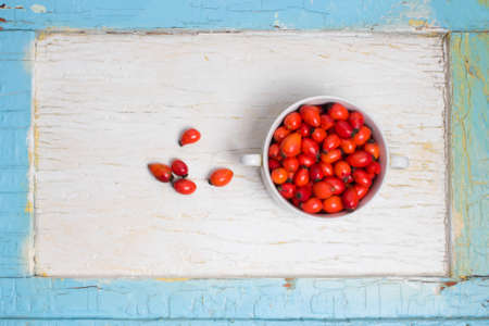 Freshly picked rose hips, commonly known as the dog rose, Rosa canina. in a blue old wooden frame...