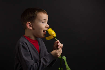 a boy with vitiligo in a red T-shirt, gray jacket, with a bouquet of yellow tulips