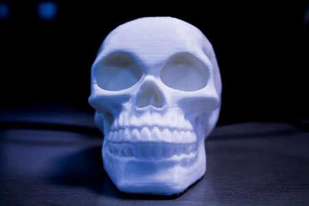 Skullの写真素材