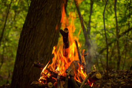 bonfireの写真素材