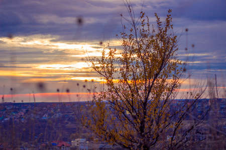 autumn Sunsetの写真素材