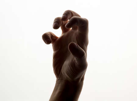 hand on a white background