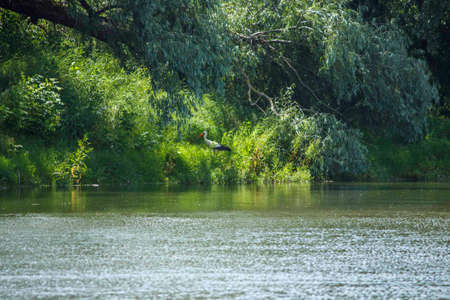 The Dniester Riverの写真素材