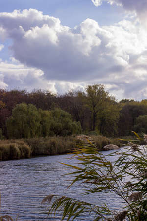 Lake in the fall
