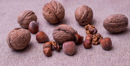Walnuts and hazelnuts