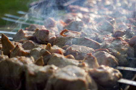 Cooking meat on a barbecue fireの写真素材