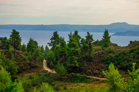 Halkidiki Valley with Mountain Viewの写真素材