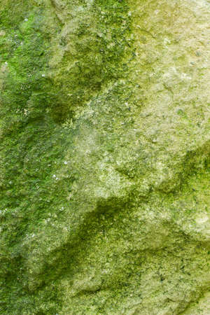 seamless quality stone texture for designの写真素材