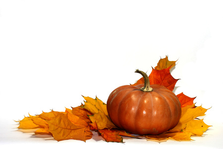 Pumpkin and leaves no backgroundの写真素材