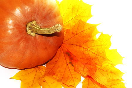Autumn picture with leaves and pumpkinの写真素材