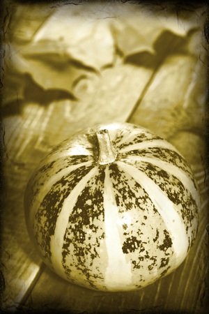 Dark frame sepia retro image Pumpkinの写真素材