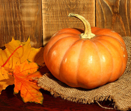 Big pumpkinの写真素材