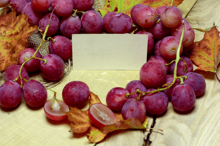 Red rose grapes bunch and autumn leaves on wood background design image with blank papers card place for you textの写真素材
