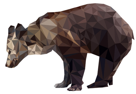 Vector Geometric polygon silhouette brown bears on transparency white background isolatedのイラスト素材