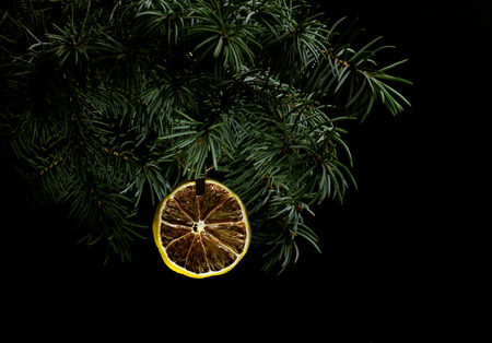 Fir tree branch isolated on black background with gold thread and a pin holds a dry slice of orange or grapefruit in top frame corner. New Year and Christmas blank template. Copyspace place for text.の写真素材
