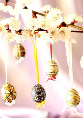 Easter card backgroundの写真素材