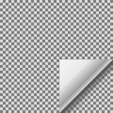 Page curl with white transparent curled corner.のイラスト素材