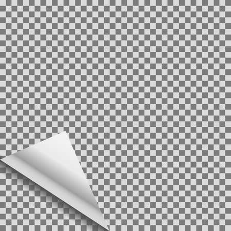 Curled transparent foil blank vector tag.のイラスト素材