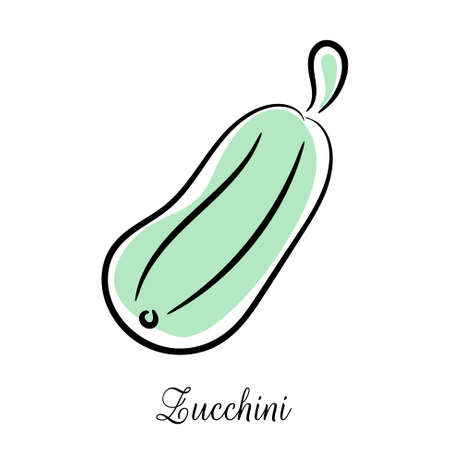 Zucchini hand drawn doodle sketch icon. Vegetable illustration.のイラスト素材