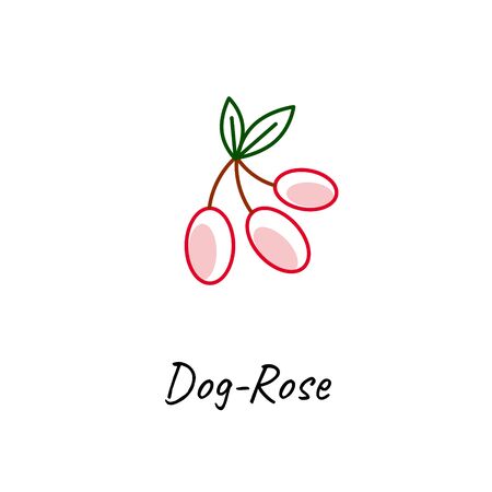 Red dog rose vector outline icon on white.のイラスト素材