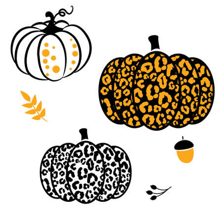 Pumpkin leopard style autumn spice season vector icons outline style. Fall seasonal pumpkin designs for cut decorのイラスト素材