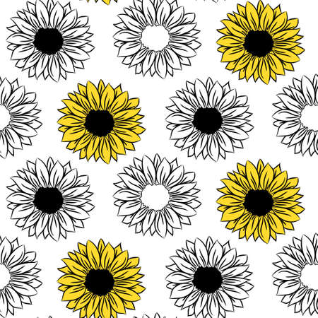 Sunflower seamless pattern drawing and outline. Blooming flowers background. Black, yellow and white illustrationのイラスト素材