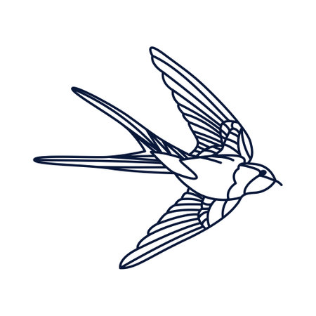 Swallow bird line drawing isolated on white. Martin bird vintage style flying.のイラスト素材