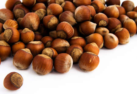 a lot of hazelnuts on a white backgroundの写真素材