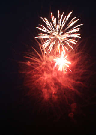 bright celebratory fireworks in the night sky
