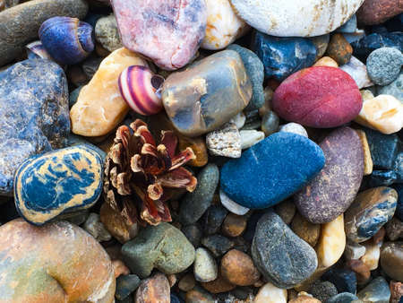 composition of stones, shells and conesの写真素材